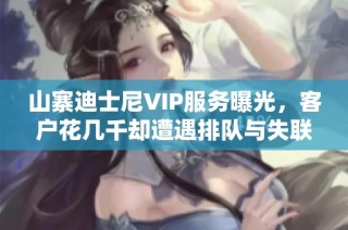 山寨迪士尼VIP服务曝光，客户花几千却遭遇排队与失联困境