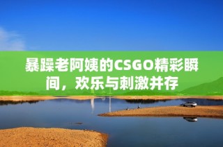 暴躁老阿姨的CSGO精彩瞬间，欢乐与刺激并存