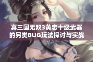 真三国无双3黄忠十级武器的另类BUG玩法探讨与实战示范