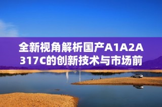 全新视角解析国产A1A2A317C的创新技术与市场前景