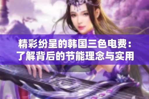 精彩纷呈的韩国三色电费：了解背后的节能理念与实用技巧