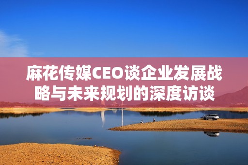 麻花传媒CEO谈企业发展战略与未来规划的深度访谈