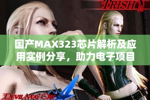 国产MAX323芯片解析及应用实例分享，助力电子项目开发