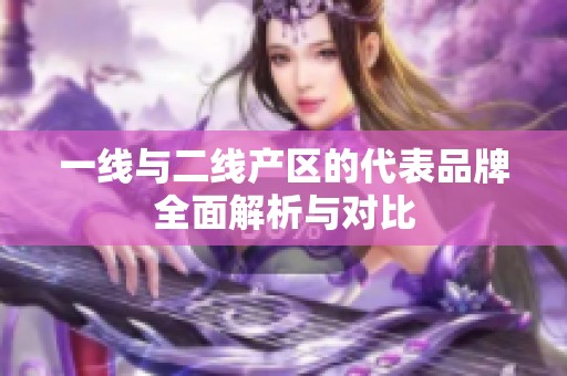 一线与二线产区的代表品牌全面解析与对比