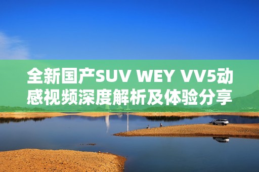 全新国产SUV WEY VV5动感视频深度解析及体验分享