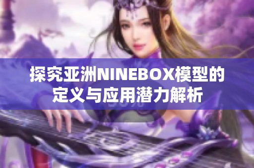 探究亚洲NINEBOX模型的定义与应用潜力解析