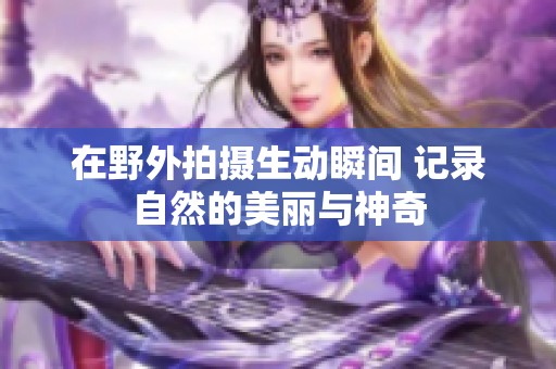 在野外拍摄生动瞬间 记录自然的美丽与神奇