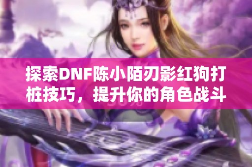 探索DNF陈小陌刃影红狗打桩技巧，提升你的角色战斗力