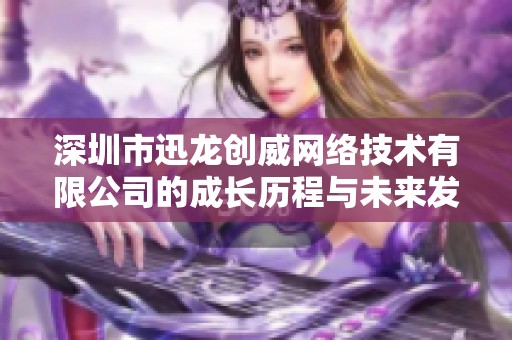 深圳市迅龙创威网络技术有限公司的成长历程与未来发展展望