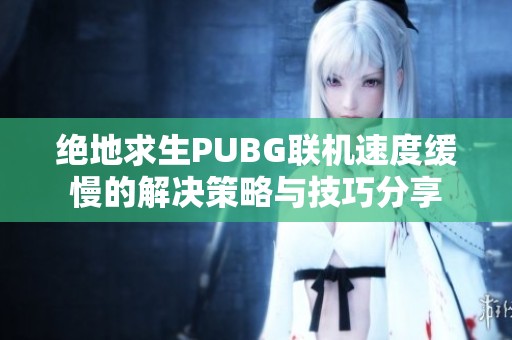 绝地求生PUBG联机速度缓慢的解决策略与技巧分享