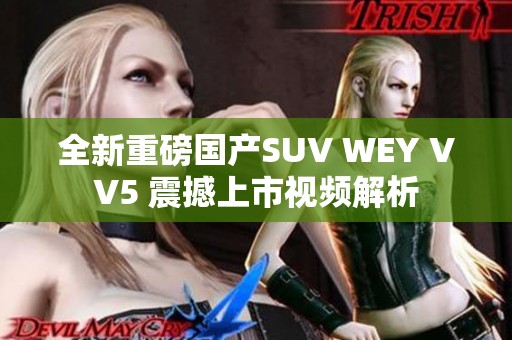 全新重磅国产SUV WEY VV5 震撼上市视频解析