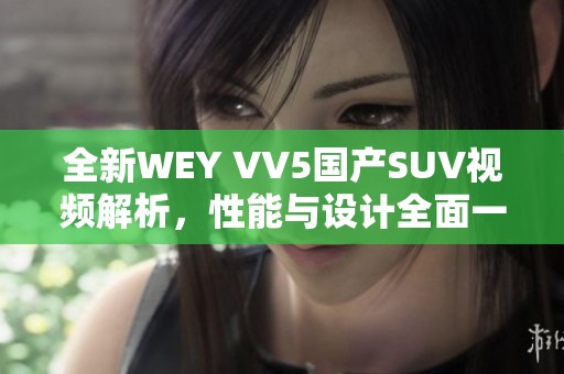 全新WEY VV5国产SUV视频解析，性能与设计全面一览