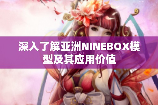 深入了解亚洲NINEBOX模型及其应用价值