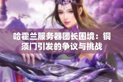 哈霍兰服务器团长困境：铜须门引发的争议与挑战