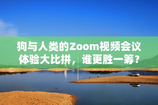 狗与人类的Zoom视频会议体验大比拼，谁更胜一筹？