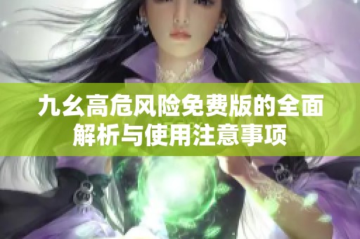 九幺高危风险免费版的全面解析与使用注意事项