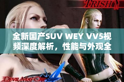 全新国产SUV WEY VV5视频深度解析，性能与外观全面剖析