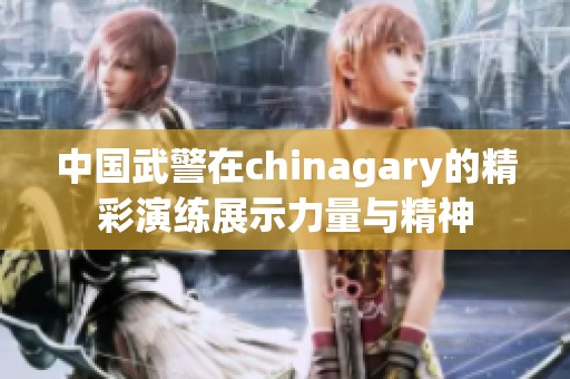 中国武警在chinagary的精彩演练展示力量与精神