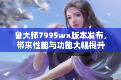 鲁大师7995wx版本发布，带来性能与功能大幅提升