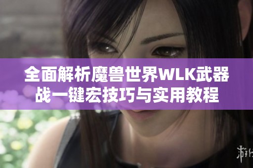 全面解析魔兽世界WLK武器战一键宏技巧与实用教程