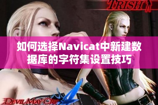 如何选择Navicat中新建数据库的字符集设置技巧