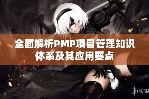 全面解析PMP项目管理知识体系及其应用要点