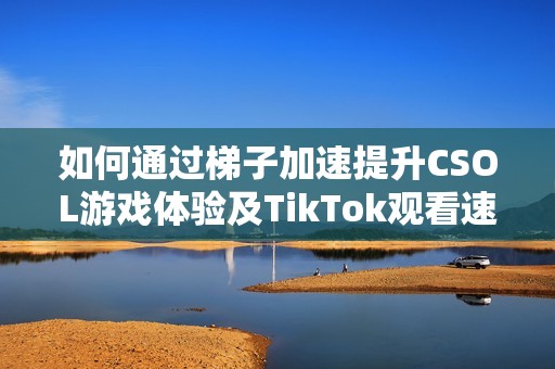 如何通过梯子加速提升CSOL游戏体验及TikTok观看速度