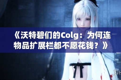 《沃特碧们的Colg：为何连物品扩展栏都不愿花钱？》