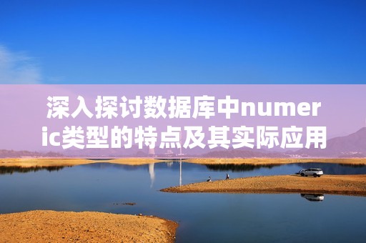 深入探讨数据库中numeric类型的特点及其实际应用