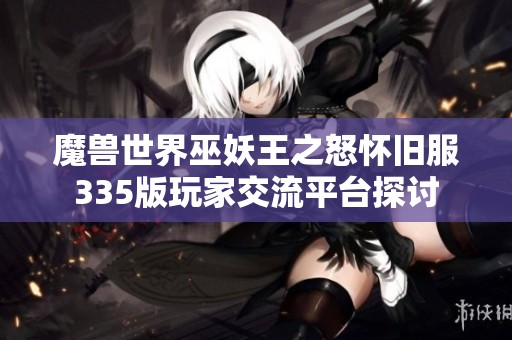 魔兽世界巫妖王之怒怀旧服335版玩家交流平台探讨