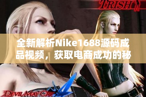 全新解析Nike1688源码成品视频，获取电商成功的秘密