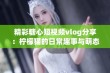 精彩糖心短视频vlog分享：柠檬猫的日常趣事与萌态展现