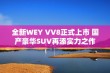 全新WEY VV8正式上市 国产豪华SUV再添实力之作