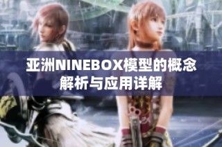 亚洲NINEBOX模型的概念解析与应用详解