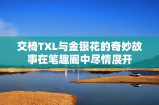 交椅TXL与金银花的奇妙故事在笔趣阁中尽情展开