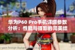 华为P60 Pro手机详细参数分析：性能与摄影的完美结合