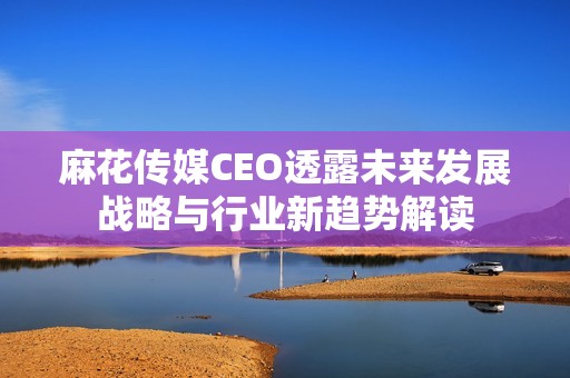 麻花传媒CEO透露未来发展战略与行业新趋势解读