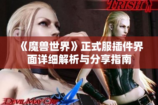 《魔兽世界》正式服插件界面详细解析与分享指南