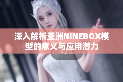 深入解析亚洲NINEBOX模型的意义与应用潜力