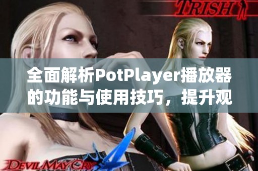 全面解析PotPlayer播放器的功能与使用技巧，提升观影体验