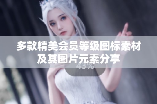 多款精美会员等级图标素材及其图片元素分享